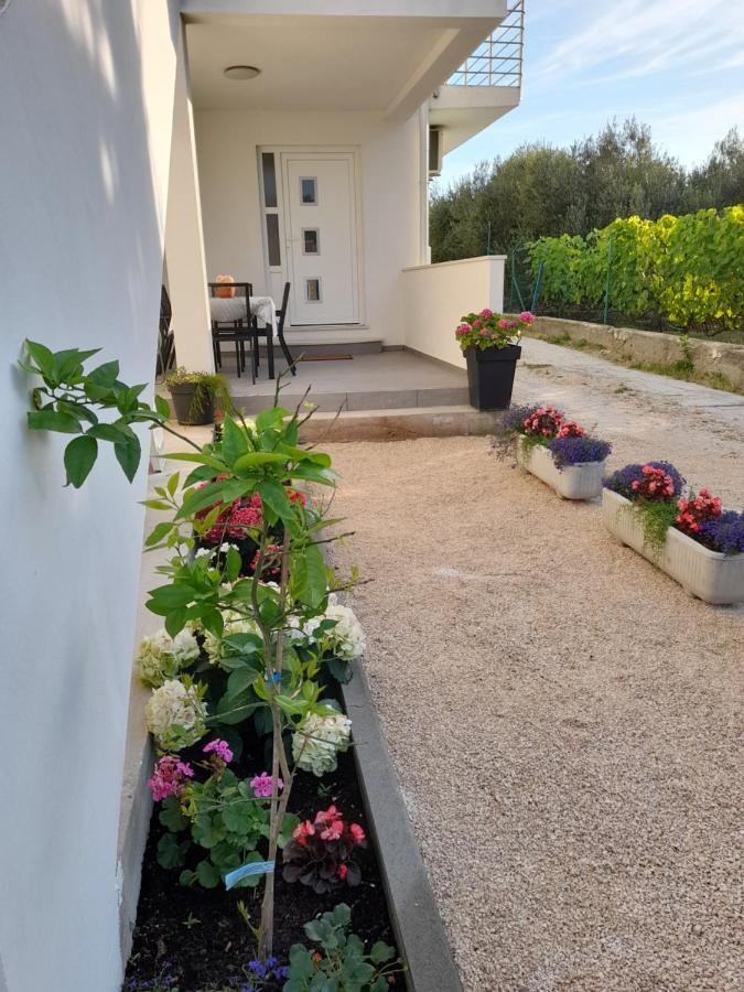 Apartmani Sara Bibinje Esterno foto