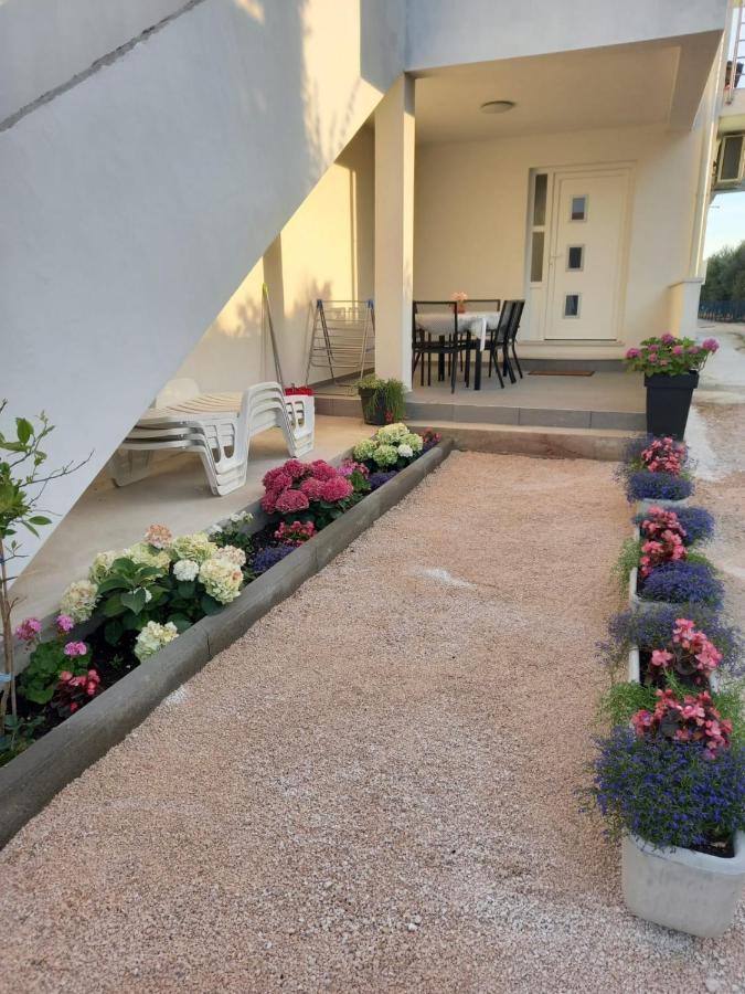 Apartmani Sara Bibinje Esterno foto