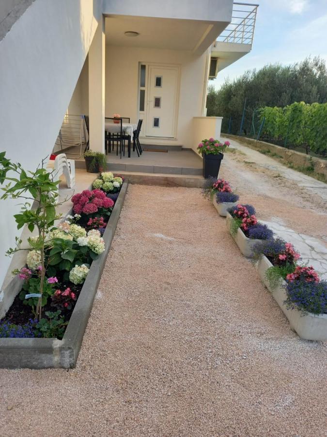 Apartmani Sara Bibinje Esterno foto