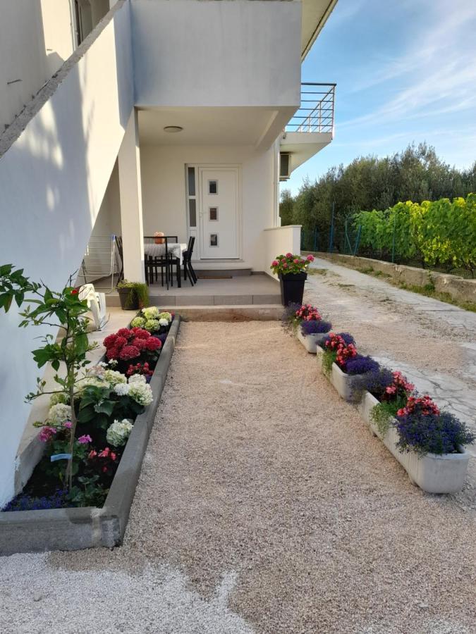 Apartmani Sara Bibinje Esterno foto